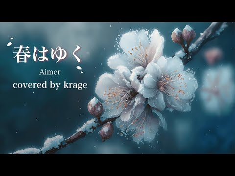 Aimer - haru ha yuku (Covered by krage)