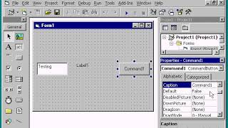VB6 Textbox , CommandButton and Label