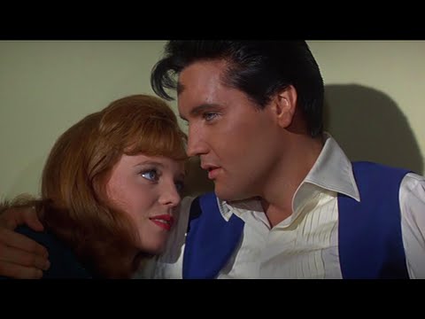 Elvis Presley - Could I Fall in Love (1967) - HD