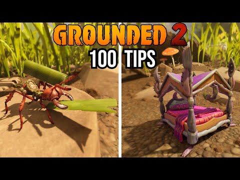 100 Tips and Tricks to Help you Beat Grounded 2!