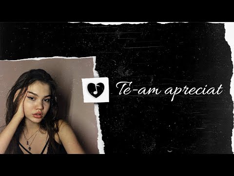 Dibaci feat. Sebyan - Te-am apreciat | Lyrics Video