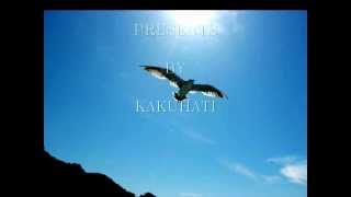 DIANE SCHUUR LOUISIANA SUNDAY AFTERNOON