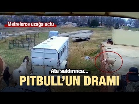 download lagu mp3 mp4 Gaziantep 724 Haber, download lagu Gaziantep 724 Haber gratis, unduh video klip Gaziantep 724 Haber