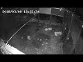 大型囲い罠_猪捕獲動画