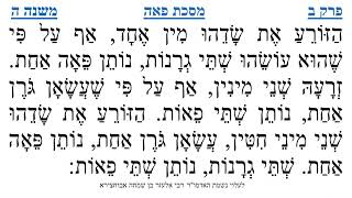 מסכת פאה פרק ב משנה ה