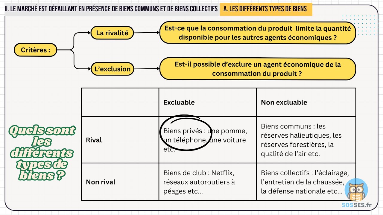 Quelles sont les principales défaillances de marché ? [Chapitre complet, première]