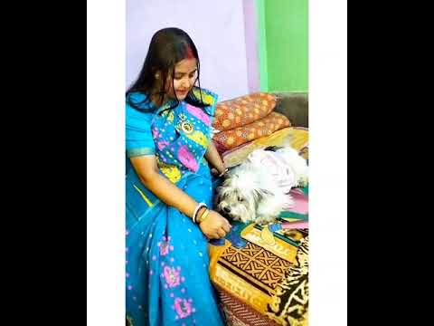 Lusi Khub Rege g6e Shreyasir Upor || Lasha Dogs || #petlover #funnydogs