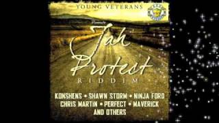 JAH PROTECT RIDDIM MIX - YOUNG VETERANS- BLACK FOXX MOVEMENT - DJ SHAGGY DANGER
