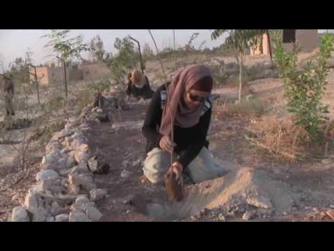 Greening the Desert revisited