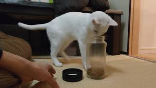試されるあめちゃん