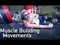 Upper Body Strength & MASS BUILDING Workout WALKTHROUGH | Thank You and Q&A Begins