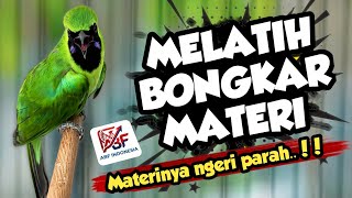 Download lagu 99,9% Cepat Bongkar ! MASTERAN CUCAK IJO FULL ISIAN TEMBAKAN MEWAH‼️ mp3
