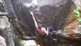 Video thumbnail of Green Mamba, 8a. Rocklands