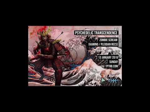 Zombie Scream - Radio Mix 2019