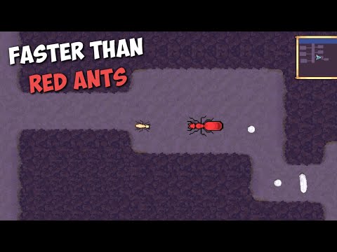 WHEN YOU ARE FASTER THAN RED ANTS | POCKET ANTS