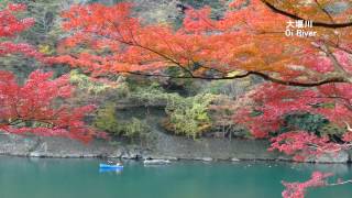 【4K】Autumn Leaves in Kyoto Arashiyama Japan 京都嵐山の紅葉 Panasonic DMC-FZ1000