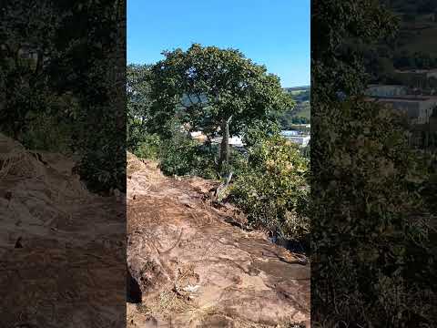 Parauna-Go, vista do morro