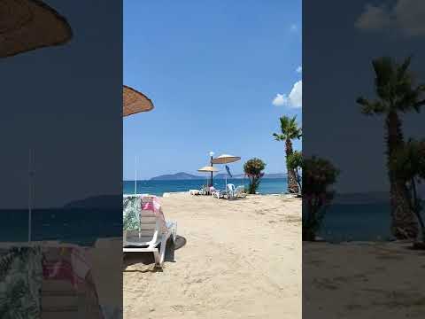 Bodrum Güllük Jasmine Beach #shorts