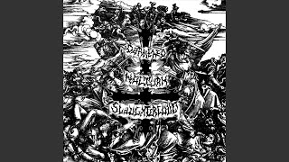 In The Land Of The Mountains Of Trees