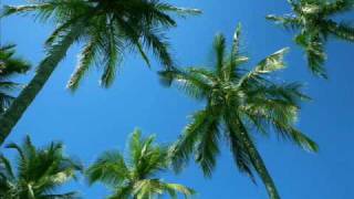 Por Causa de Você, Menina - Jorge Ben & Ivete Sangalo