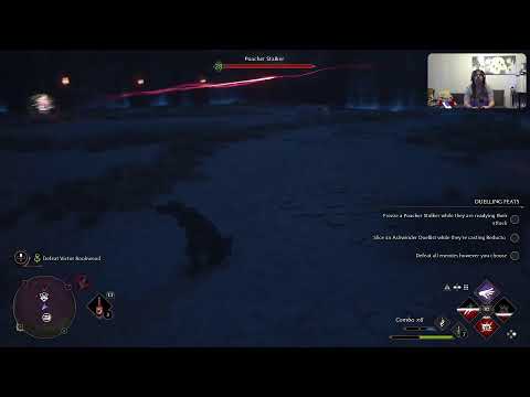 Hogwarts Legacy osa 17