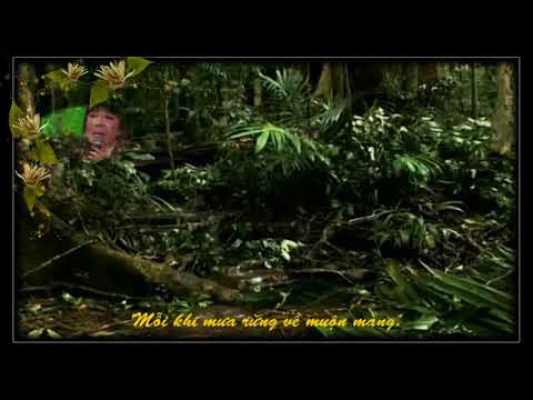 Thể hiện bởi Ánh Tuyết (Giọng Quảng Nam)