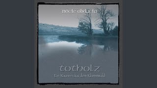 Ein staehlernes Lied