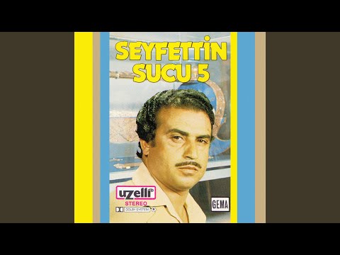 Gül Dalına Konmuş Bülbül Yavrusu