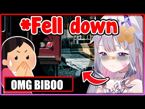 Biboo went out by herself and almost died this time