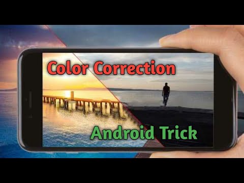 How to Enable Color Correction on Android | Color Blindness Mode on Android | Techie Thapa 2020