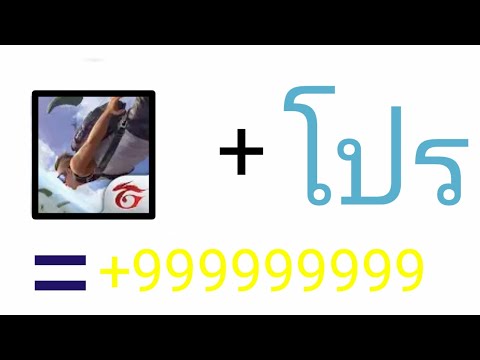 โปรฟีฟาย