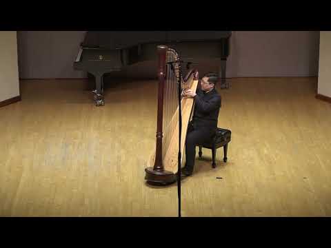 Maurice Ravel - Pavane pour une infante defunte | Le Shen, Harp