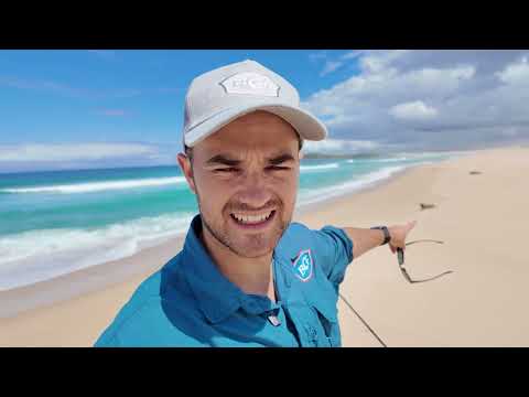 Beach Fishing for Tailor