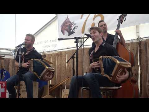 Schwyzerörgeli-Trio Vollgas - Finsterwald-Lied