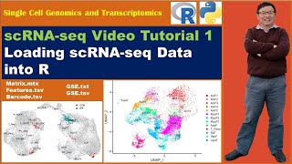 Seurat Video Tutorials--Video 1: Loading single cell RNA sequencing data into R