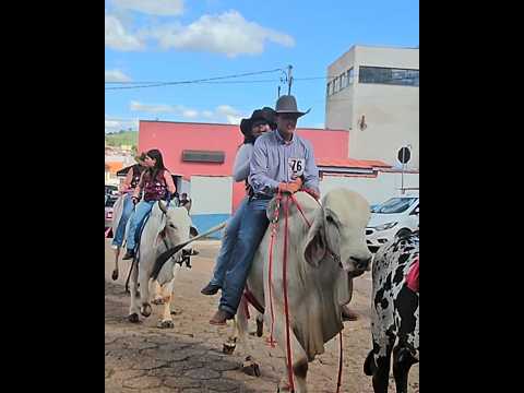 BOIS DE SELA TOMAM AS RUAS EM SILVIANOPOLIS MG