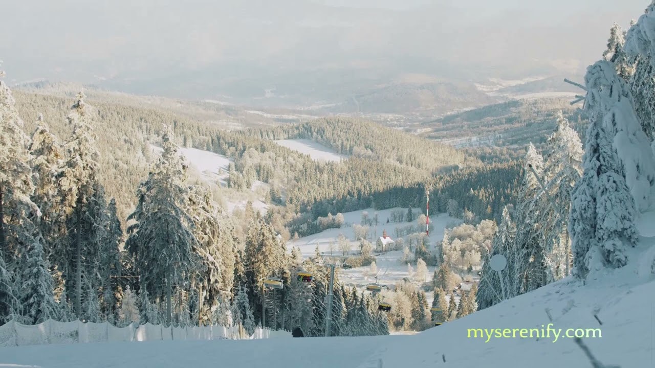 AI Meditation: Exploring Mindfulness and Insight Meditation