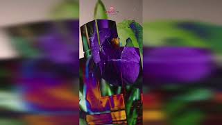 Video produs