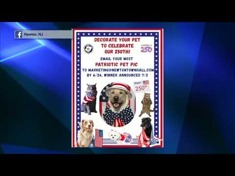 Newton Pet Decorating
