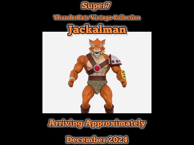 Vídeo relacionado con Super7 Vintage Thundercats Jackalman - Figura de acción de Thundercats de 5.5 Pulgadas con Accesorio, coleccionables clásicos de Dibujos Animados y Juguetes Retro