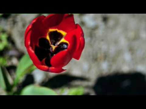 Symona Rusu-Cand esti langa mine