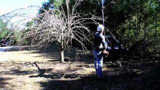 preview picture of video 'Taylor Tree Co. Pear Tree Pruning in Pass Christian'