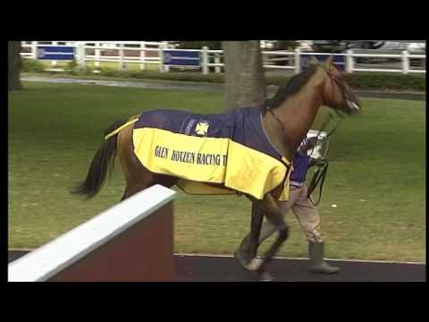 MS 20170119 GOLD STANDARD