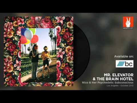 Mr. Elevator & The Brain Hotel - Velvet Night