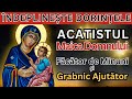 Acatistul Maicii Domnului Grabnic Ajutătoare Făcătoare De Minuni Rostita 40 De Zile
