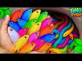 I Get Colorful Ornamental Fish In Tiny Pond Baby Turtle Goldfish Platy Fish Glass Fish Eel Koi