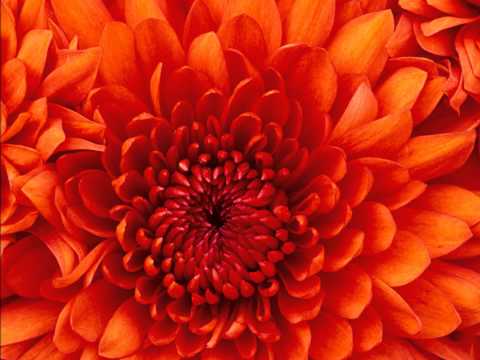 "se fosse facile" Valentina Rizzo