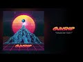 GUNSHIP Shadow Fury Official Audio