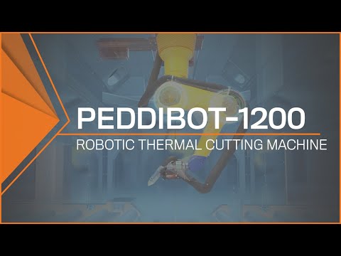 PEDDINGHAUS PEDDIBOT-1200 Thermal Cutting | Demmler Machinery Inc. (1)