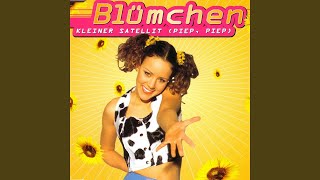 Kleiner Satellit (Piep, Piep) (Satellit in der Luft Mix)